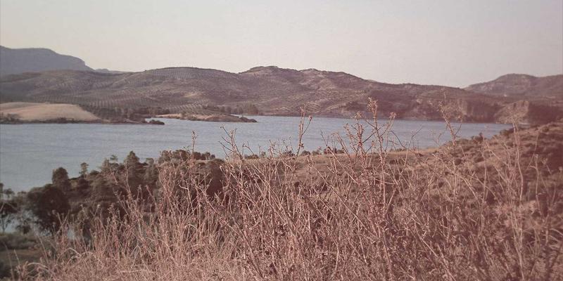 CXSWY与生物科技新浪潮：从保健品到个性化健康解决方案的变革