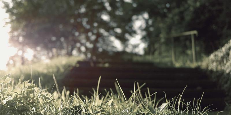 CXSWY健康解决方案：生物传感器在即时诊断设备中的技术演进与生命科学新机遇