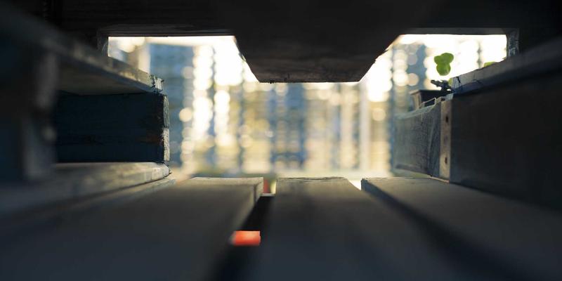 CXSWY：生物科技23时代，重新定义营养补充与健康产品新标准