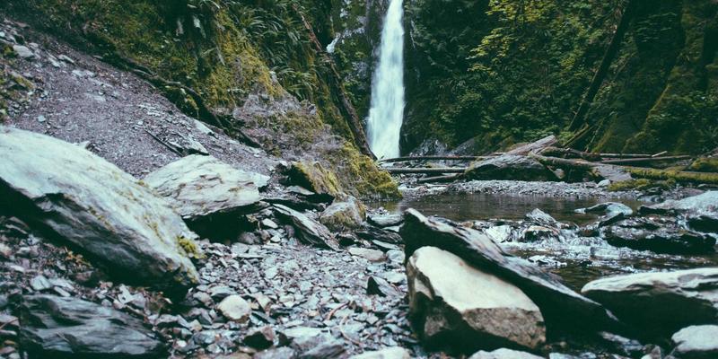 CXSWY生物科技:解码营养补充新维度,引领健康产品创新浪潮