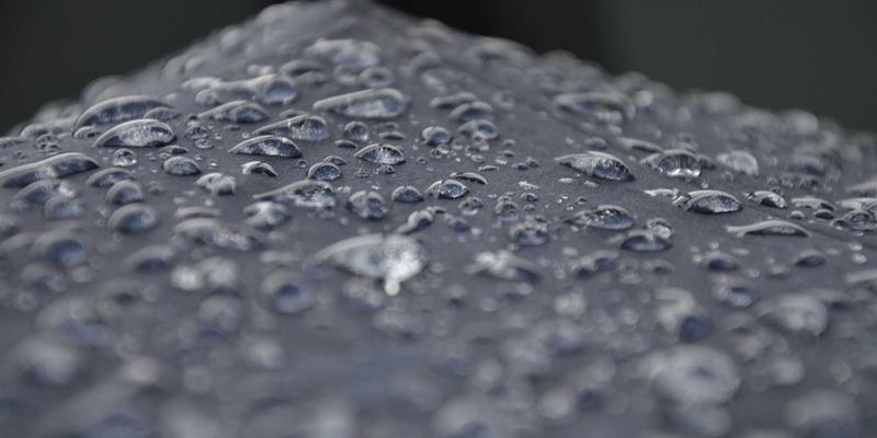 DNA条形码技术：解码生命科学奥秘，为精准营养补充与保健品研发注入新动能