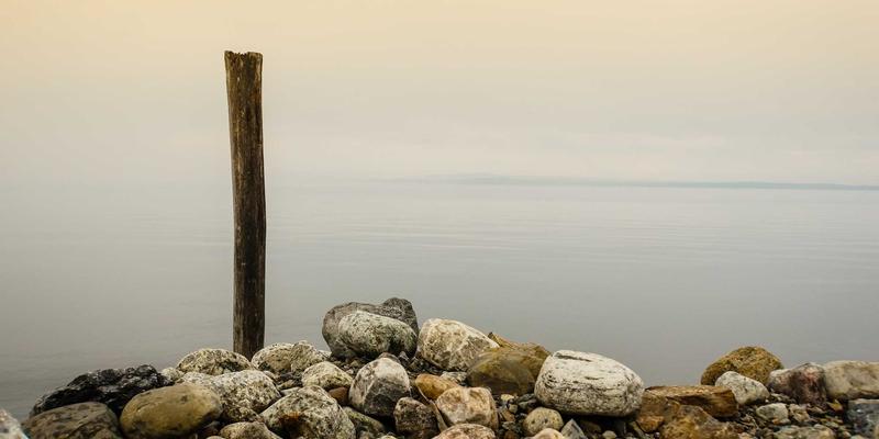 人工智能如何重塑生物科技：驱动下一代健康产品与新药发现平台