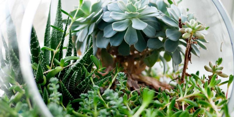 从实验室到餐桌：生物科技如何重塑健康解决方案与营养补充新范式