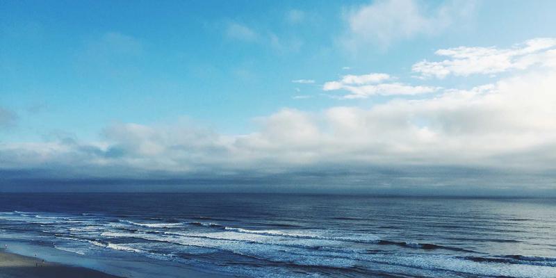 器官芯片与微生理系统：从体外人体模型革命到精准营养补充的健康解决方案