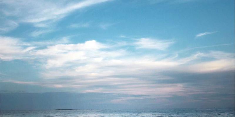 基因编辑作物：应对粮食安全与气候变化的健康产品新纪元