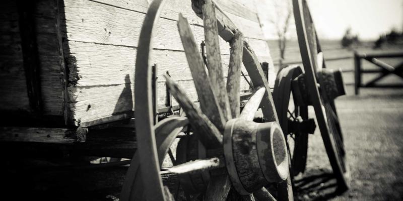 基因编辑脱靶效应检测技术与风险控制策略：CXSWY生物科技的健康解决方案