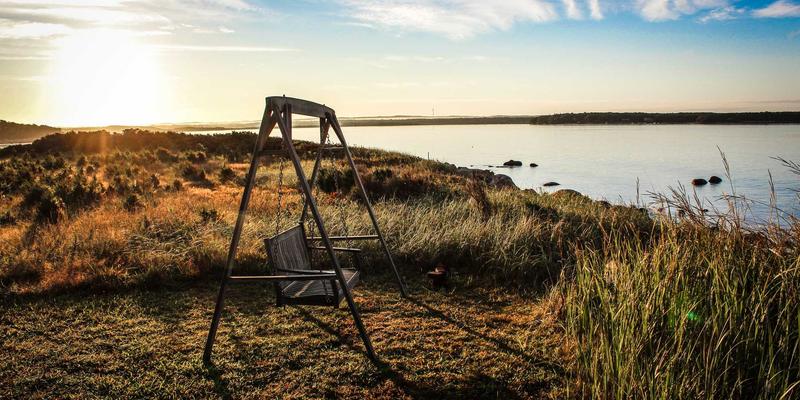 微生物组与人体健康：CXSWY健康解决方案如何通过肠道菌群干预慢性疾病