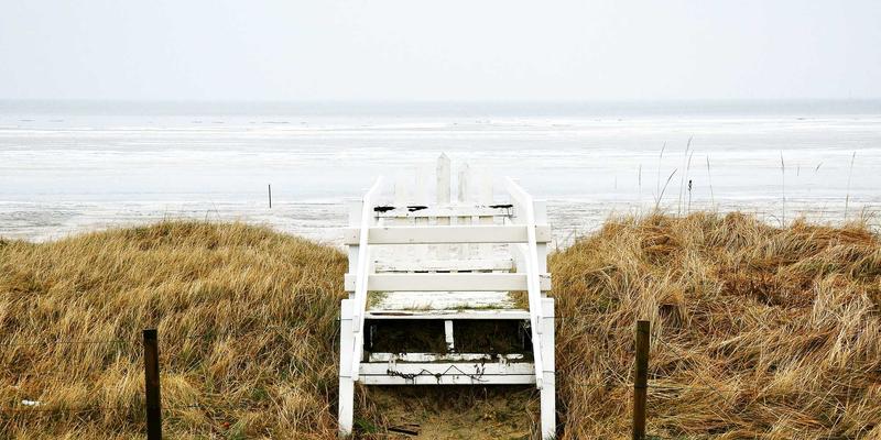 生命科学新纪元：生物信息学与AI如何加速新药发现与个性化保健品设计