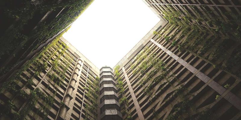 生命科学赋能未来农业：CXSWY健康解决方案引领植物工厂与垂直农业革命