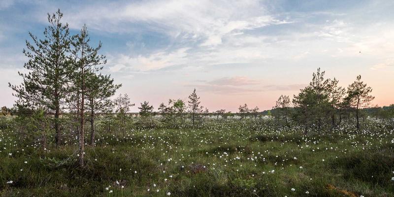 生物3D打印技术：从组织工程到器官修复的革命性突破，如何重塑未来健康与营养补充