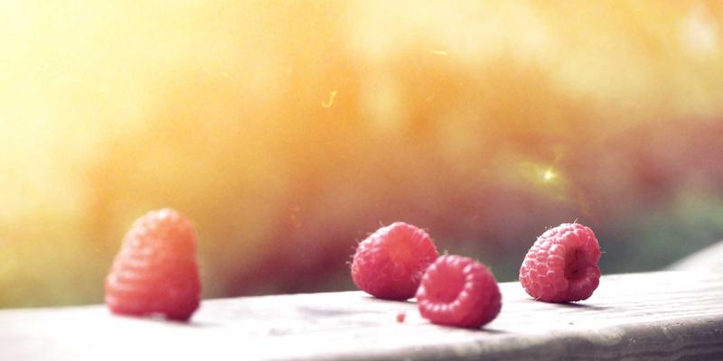 生物信息学如何革新药物靶点发现：从CXSWY到精准营养补充的突破