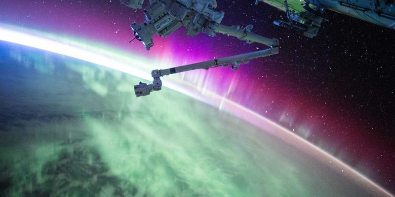 生物科技17：解码生命科学如何重塑保健品与营养补充的未来