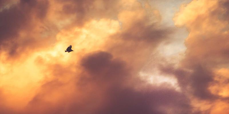 生物科技37：解码营养补充新纪元，生命科学如何重塑健康解决方案