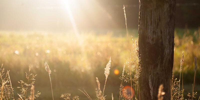 生物科技40:解码营养补充新纪元,科学定义健康产品未来