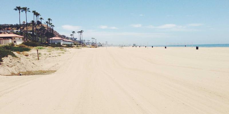 生物科技56：重新定义营养补充与保健品的科学革命