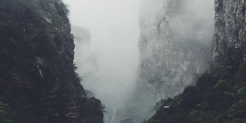 生物科技74：重塑营养补充与健康解决方案的未来