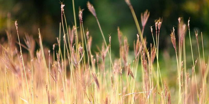 生物科技如何重塑健康解决方案：从营养补充到个性化健康产品