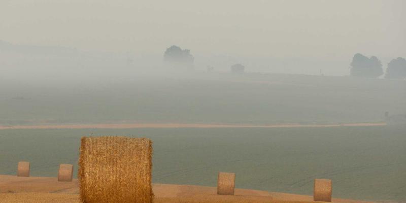 生物科技新突破：生物传感器如何革新环境监测，守护生命科学与健康产品安全