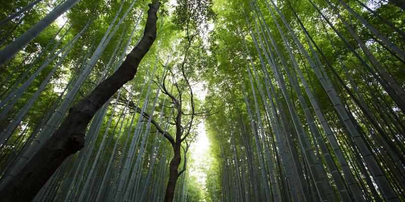 生物科技:生命科学的革命如何重塑我们的健康未来