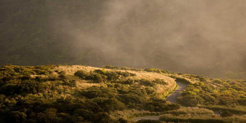 生物科技赋能农业：微生物组工程如何革新病虫害绿色防控与营养补充