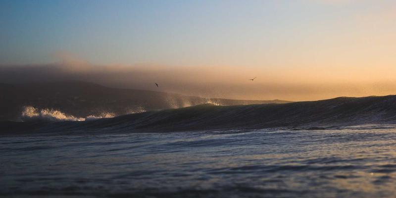 生物科技进阶:解码健康产品与营养补充的未来解决方案
