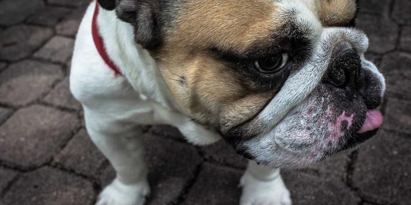 生物科技:重塑健康未来的创新解决方案与产品革命