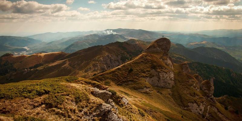 细胞农业与生物科技：实验室培育肉和植物基蛋白如何重塑保健品与健康产品市场