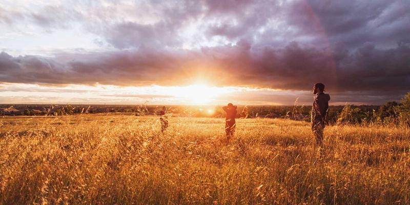 营养补充新纪元：微生物组疗法如何从肠道健康重塑精神疾病治疗策略
