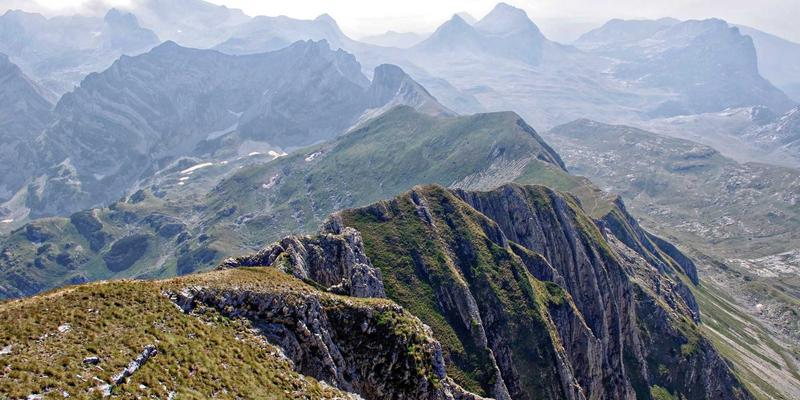 解码衰老生物学：从基因调控到CXSWY健康解决方案的科学探索